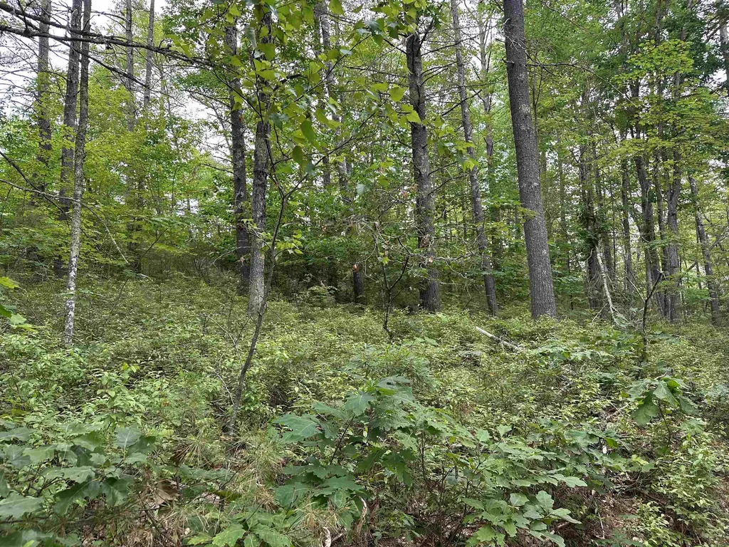 M 7 L 5-5 Blandings Lane Shapleigh ME 04076