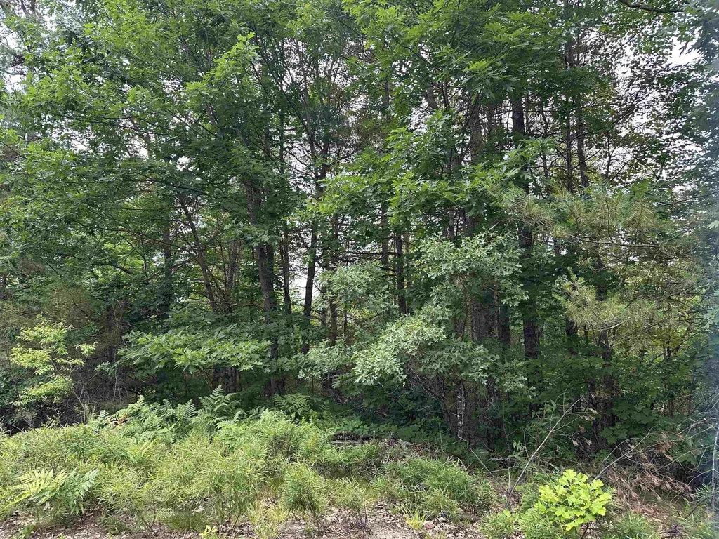 M 7 L 5-5 Blandings Lane Shapleigh ME 04076
