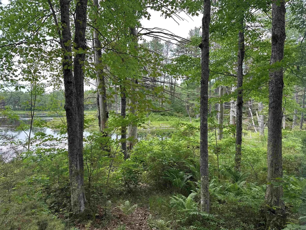 M 7 L 5-5 Blandings Lane Shapleigh ME 04076