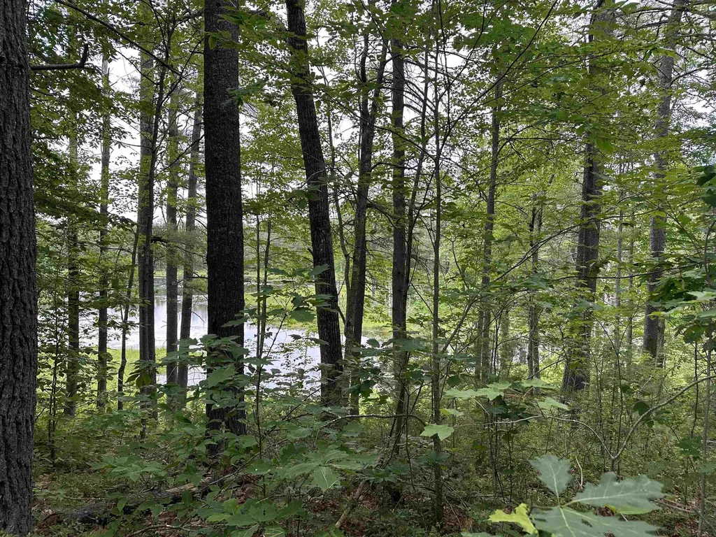 M 7 L 5-5 Blandings Lane Shapleigh ME 04076