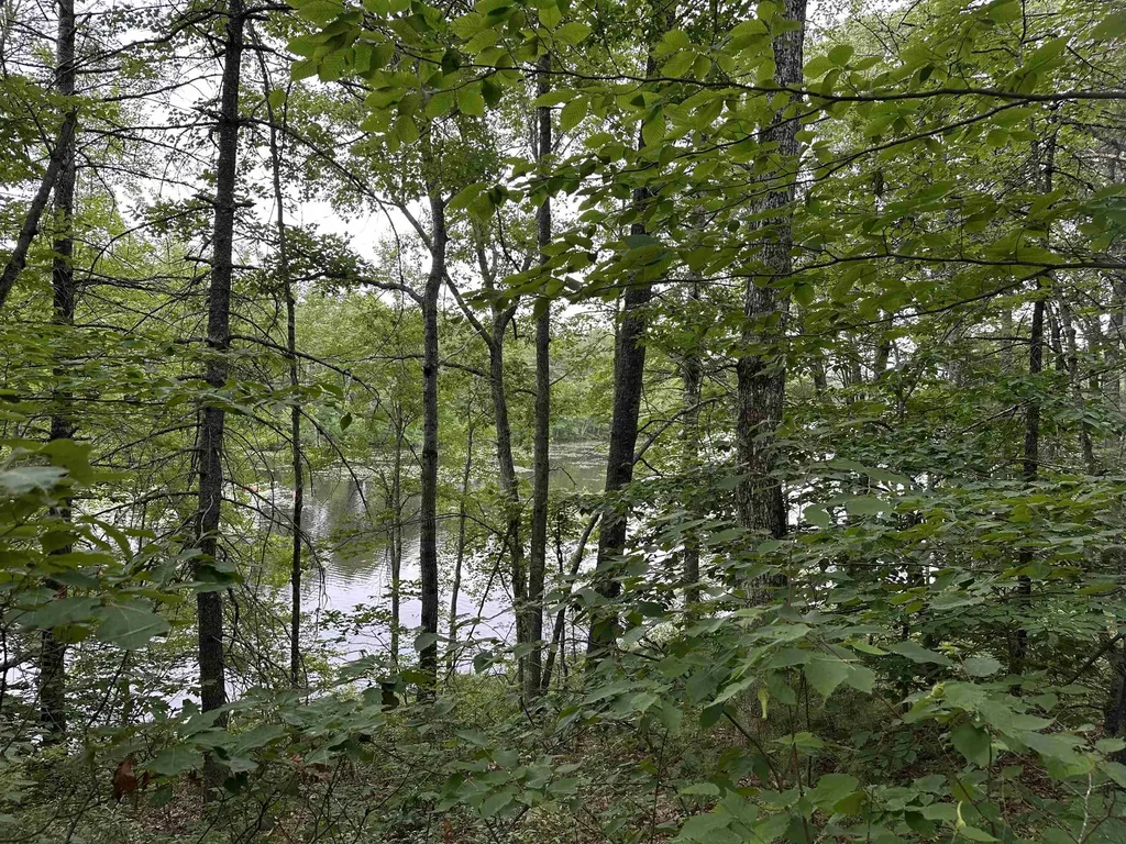 M 7 L 5-5 Blandings Lane Shapleigh ME 04076