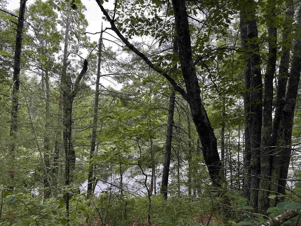 M 7 L 5-5 Blandings Lane Shapleigh ME 04076