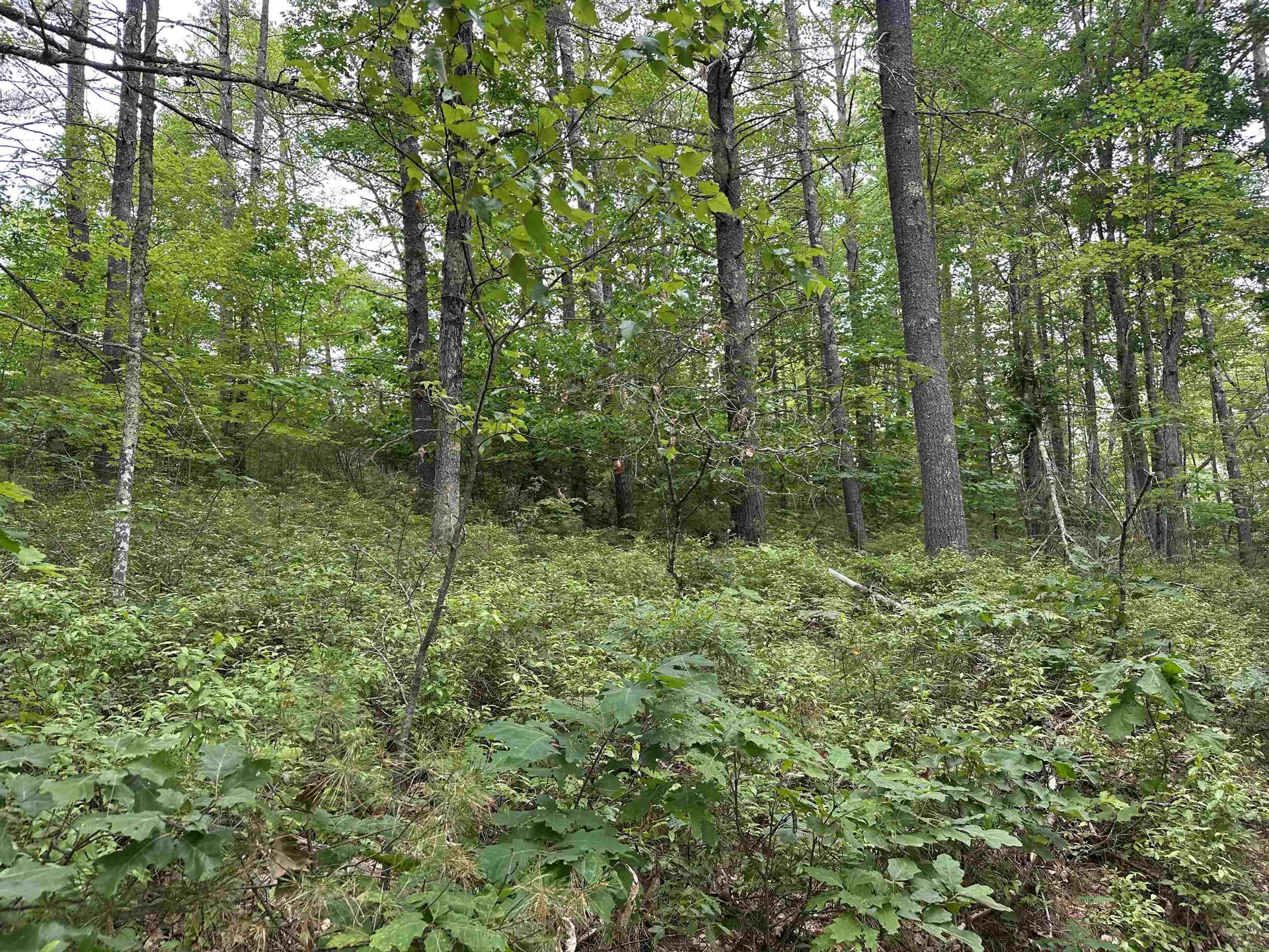 M 7 L 5-5 Blandings Lane Shapleigh ME 04076