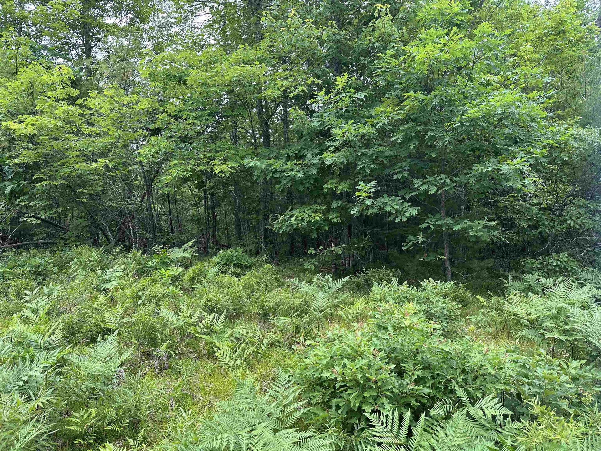 M 7 L 5-5 Blandings Lane Shapleigh ME 04076