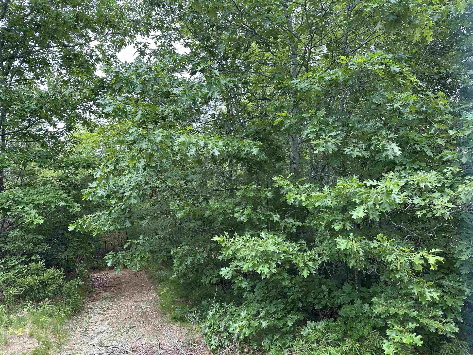M 7 L 5-5 Blandings Lane Shapleigh ME 04076