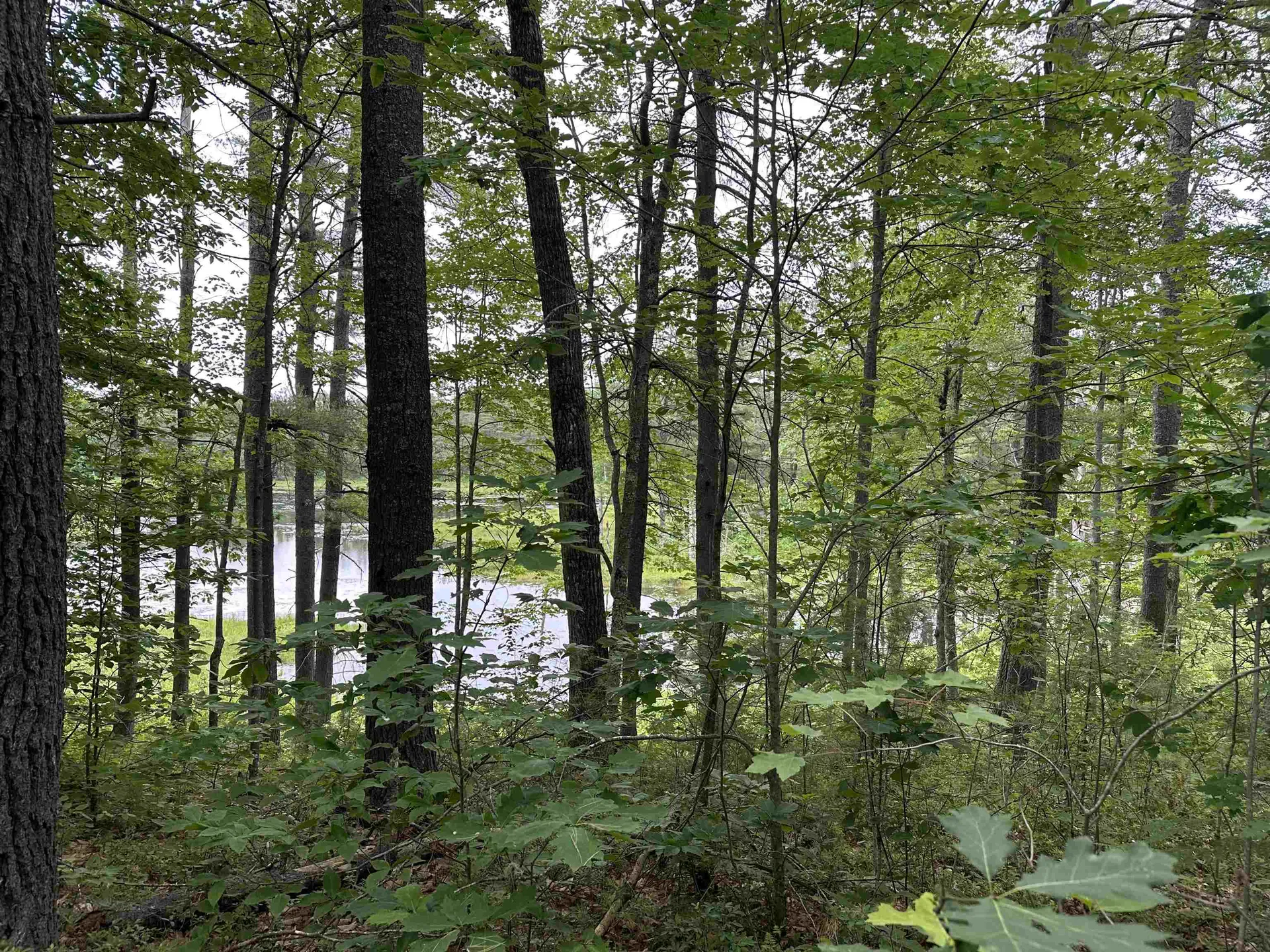 M 7 L 5-5 Blandings Lane Shapleigh ME 04076