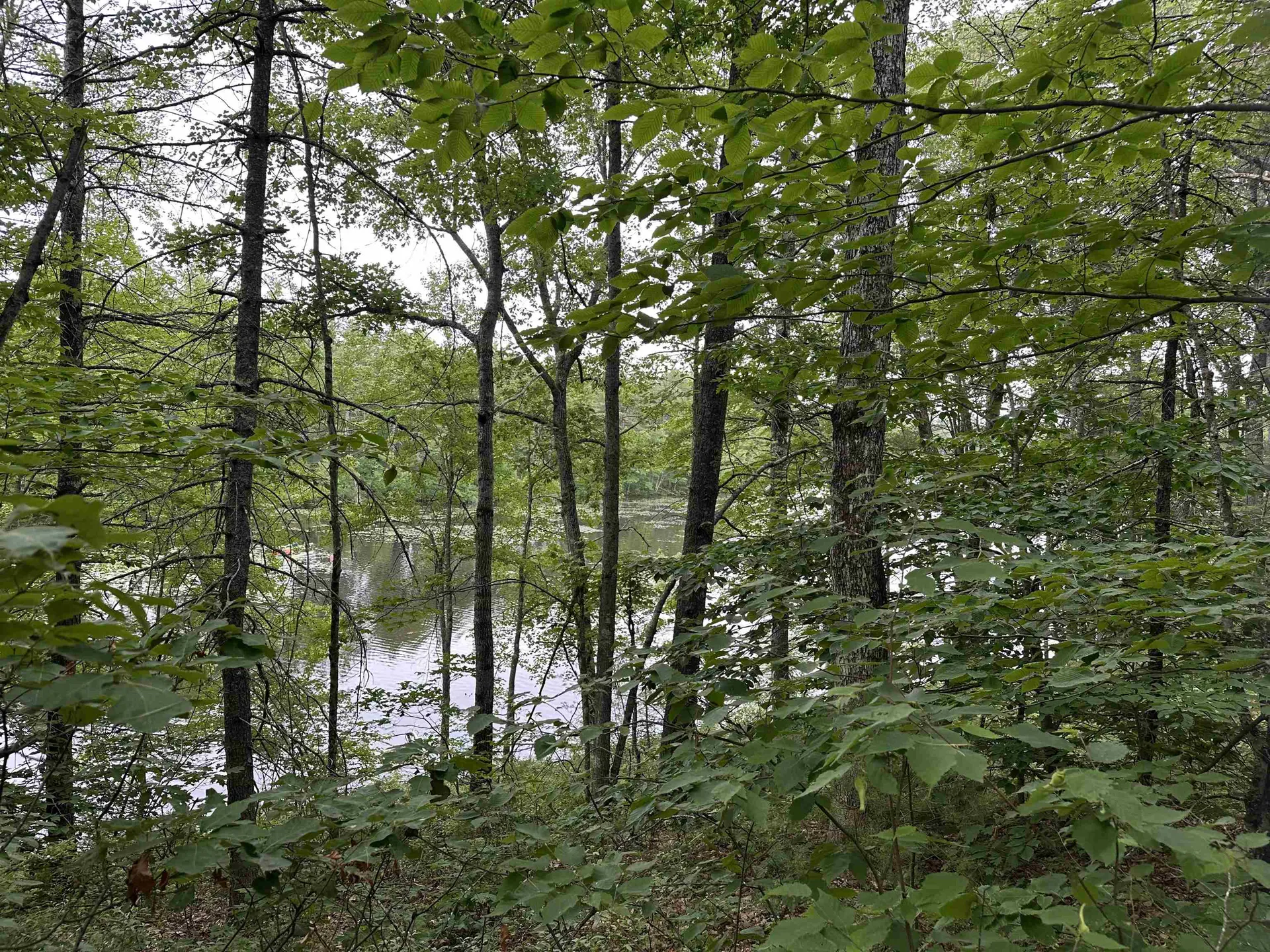 M 7 L 5-5 Blandings Lane Shapleigh ME 04076