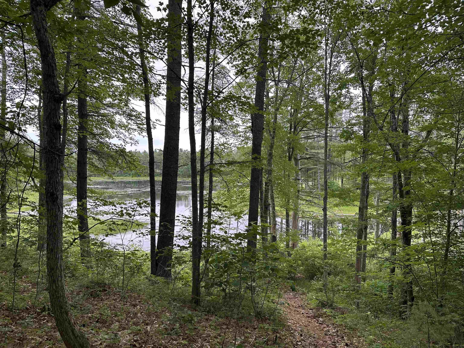 M 7 L 5-5 Blandings Lane Shapleigh ME 04076