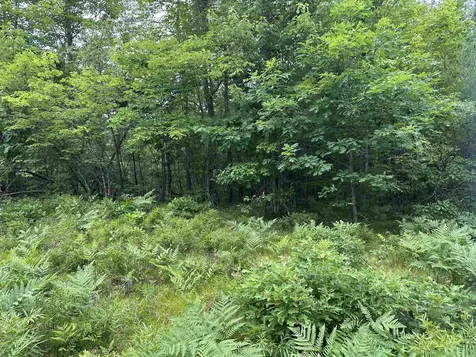 M 7 L 5-5 Blandings Lane Shapleigh ME 04076
