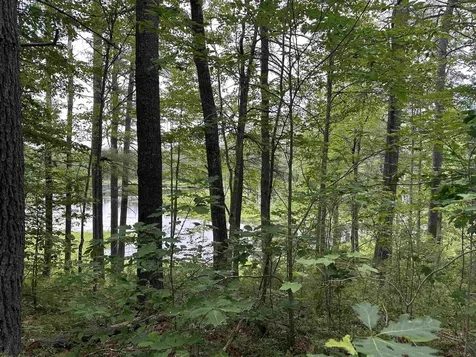 M 7 L 5-5 Blandings Lane Shapleigh ME 04076