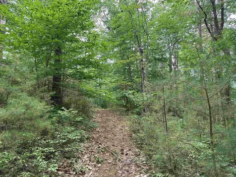 M 7 L 5-5 Blandings Lane Shapleigh ME 04076