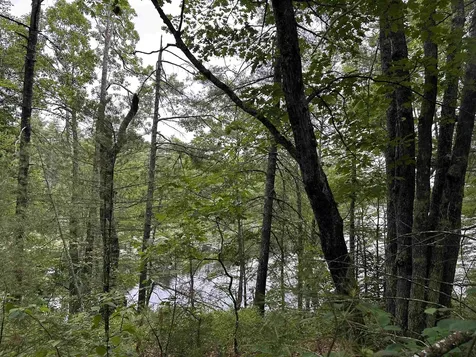 M 7 L 5-5 Blandings Lane Shapleigh ME 04076