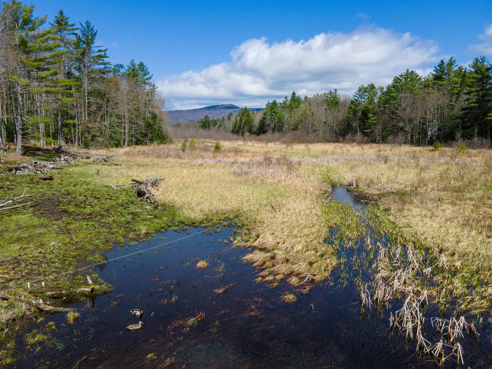 193 Croydon Turnpike Croydon NH 03773