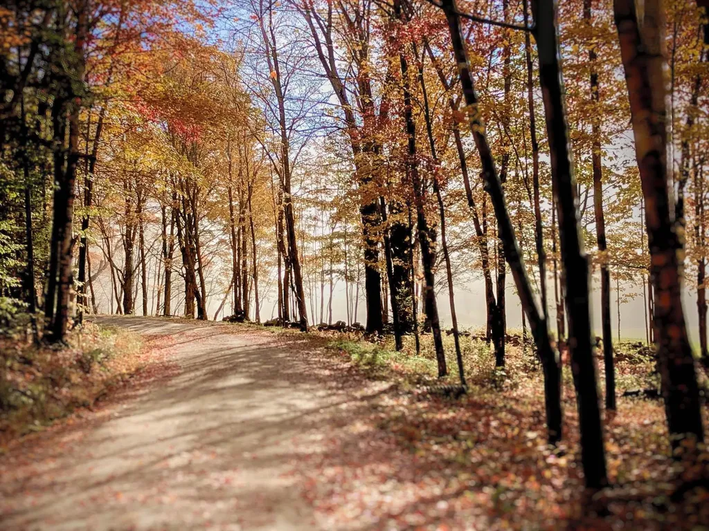 454 Edwin's Pond Road Rochester VT 05767