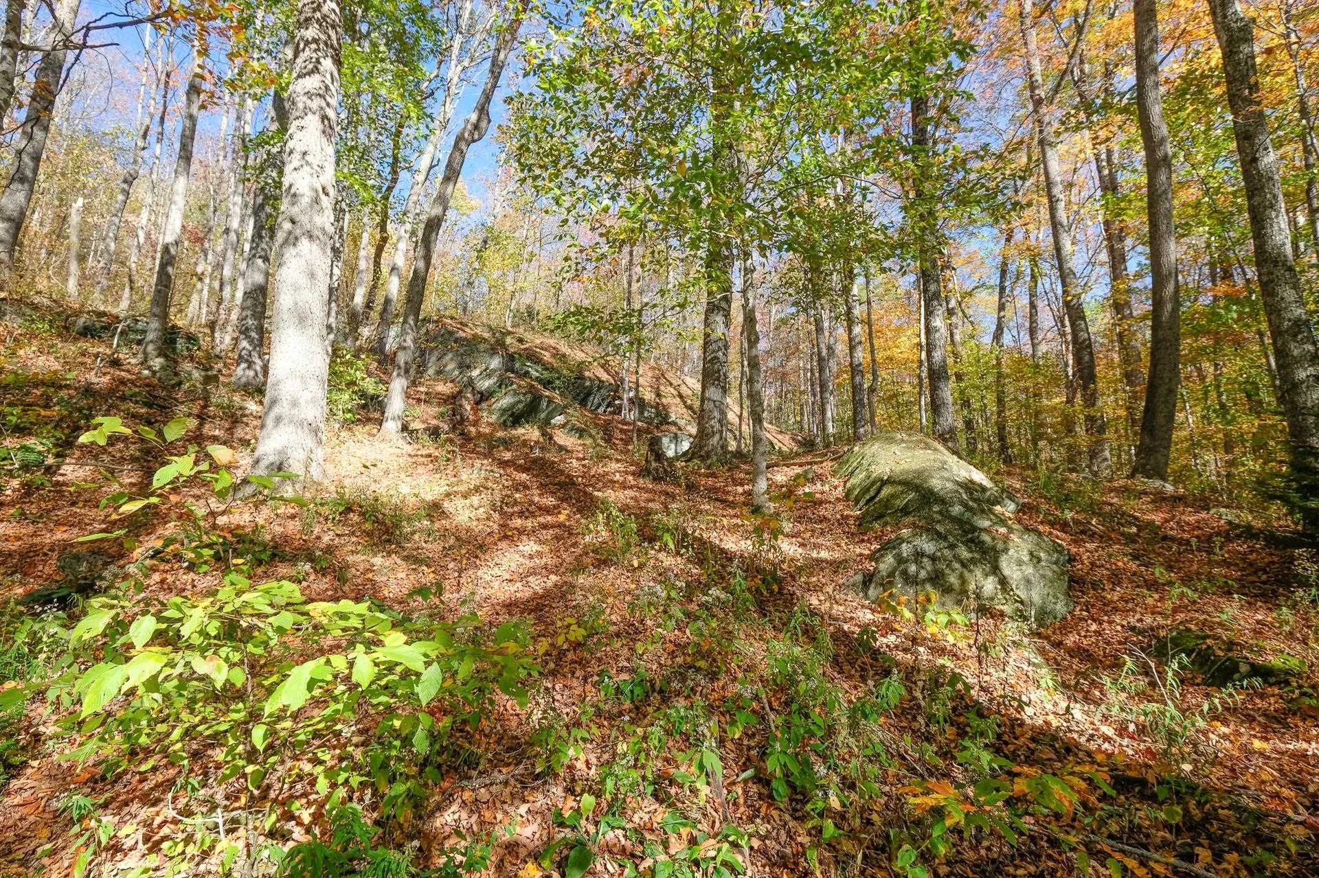 454 Edwin's Pond Road Rochester VT 05767