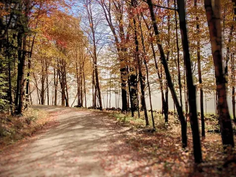 454 Edwin's Pond Road Rochester VT 05767