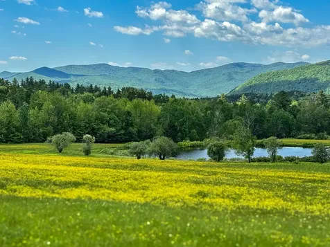 454 Edwin's Pond Road Rochester VT 05767