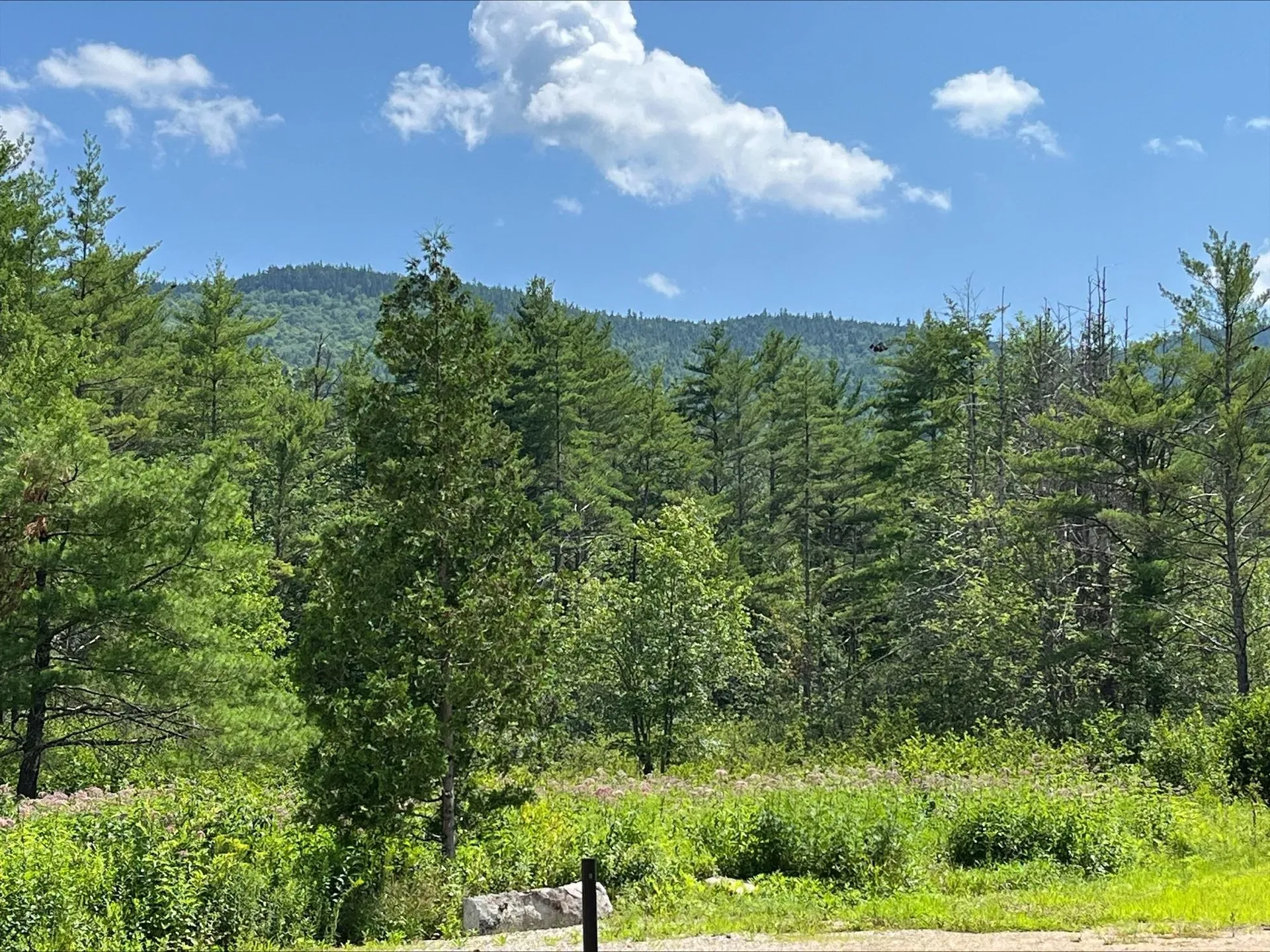 815 W Side Road Bartlett NH 03812