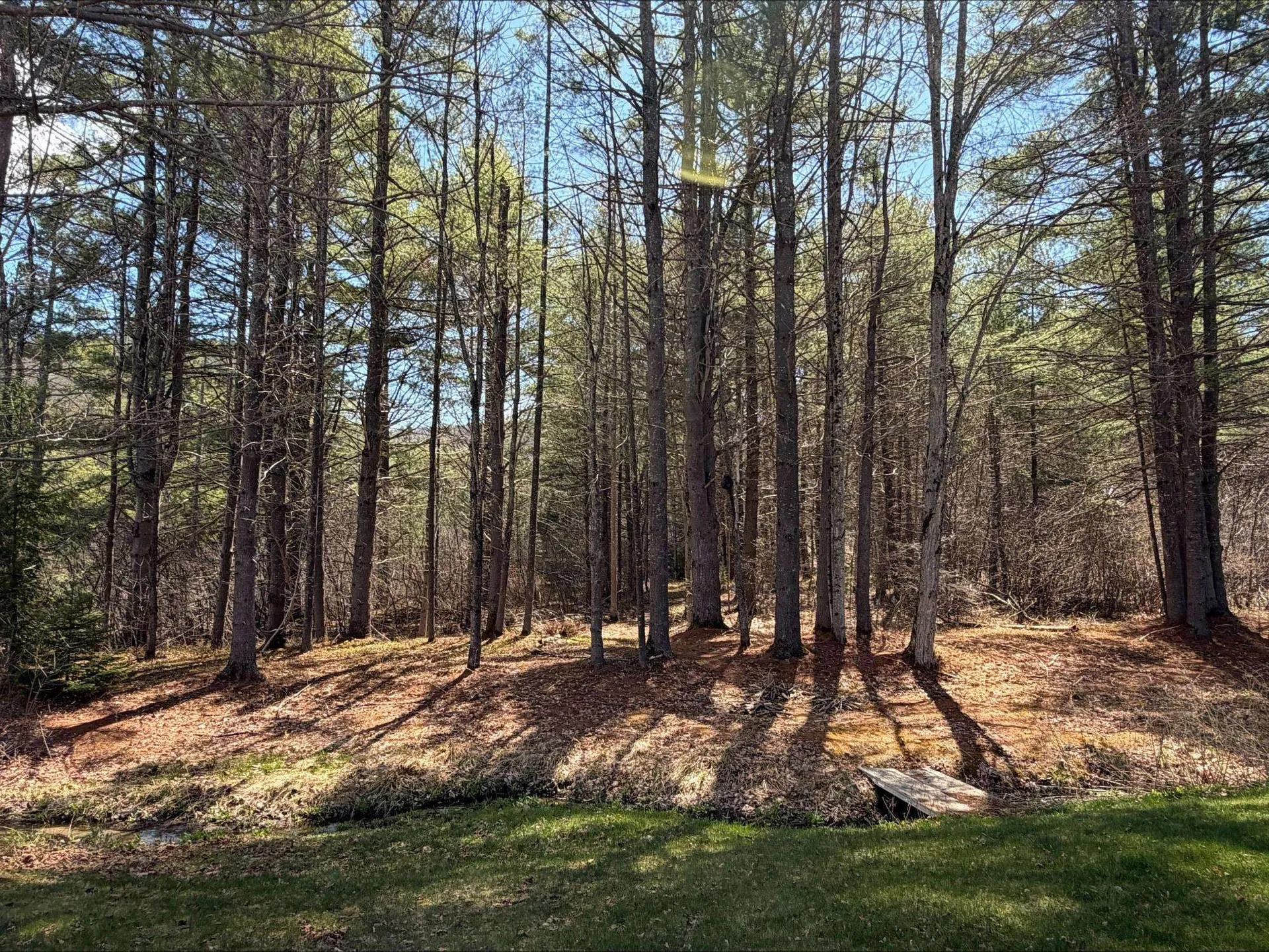 815 W Side Road Bartlett NH 03812