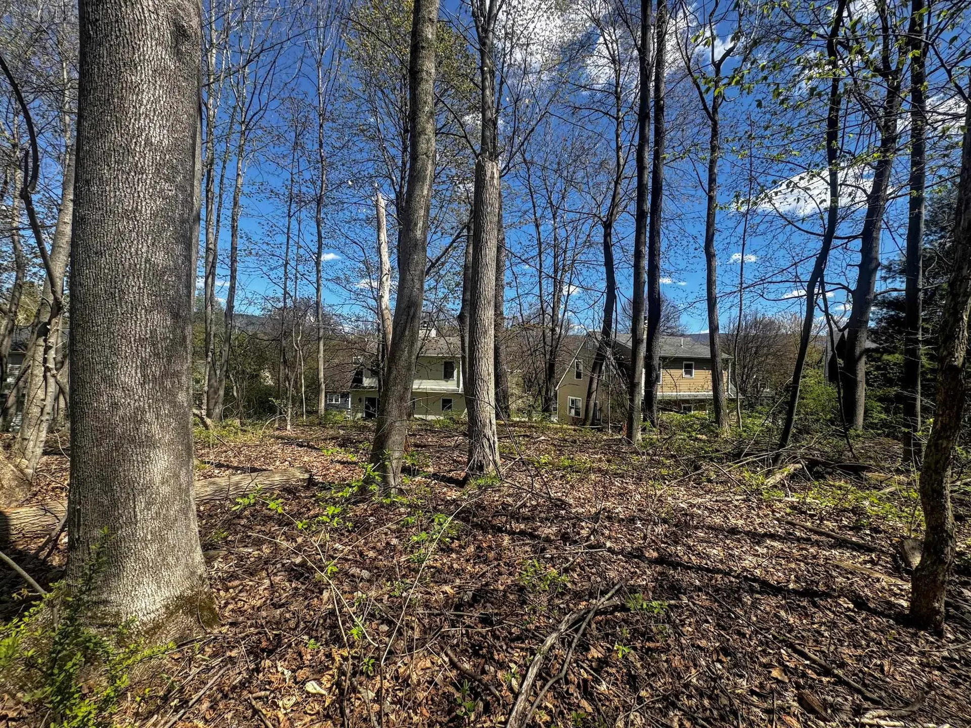 341 Chester Knoll Drive Bennington VT 05201
