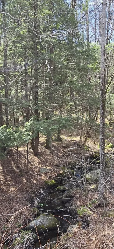 0 Jacobs Ladder Road Becket MA 01223
