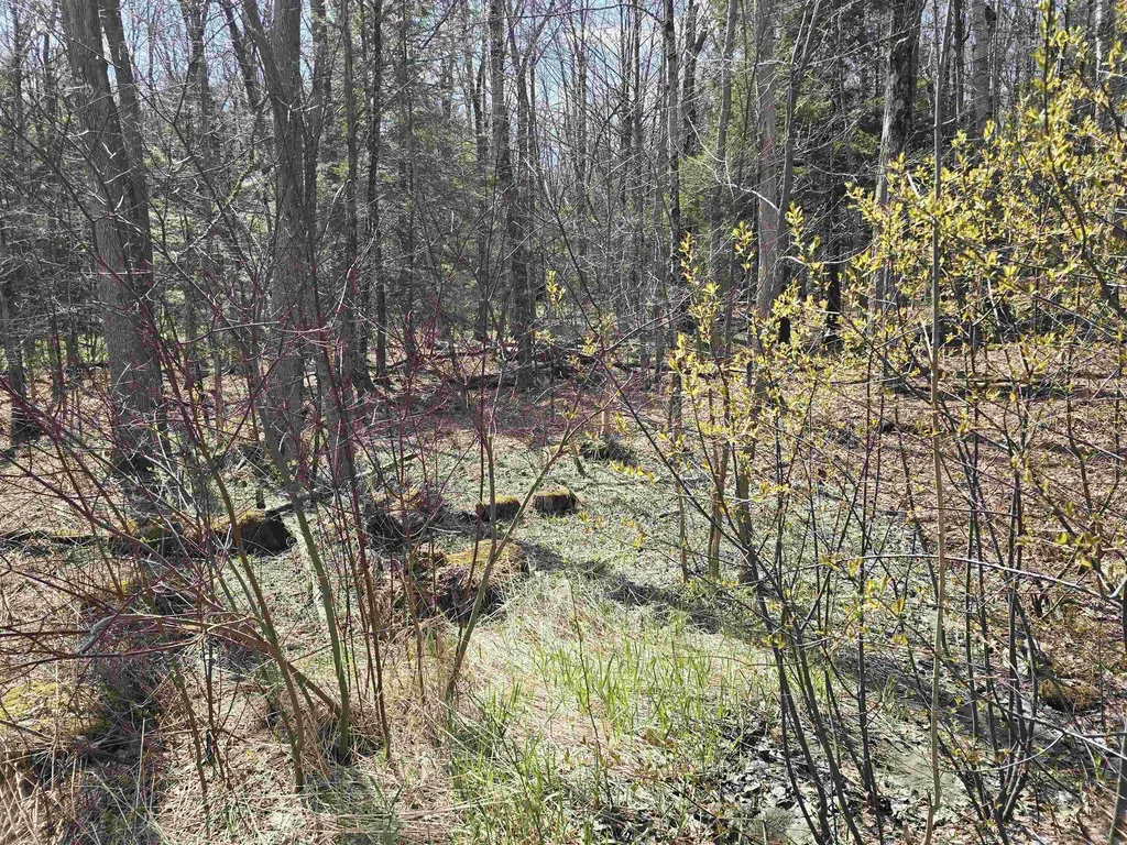 0 Jacobs Ladder Road Becket MA 01223