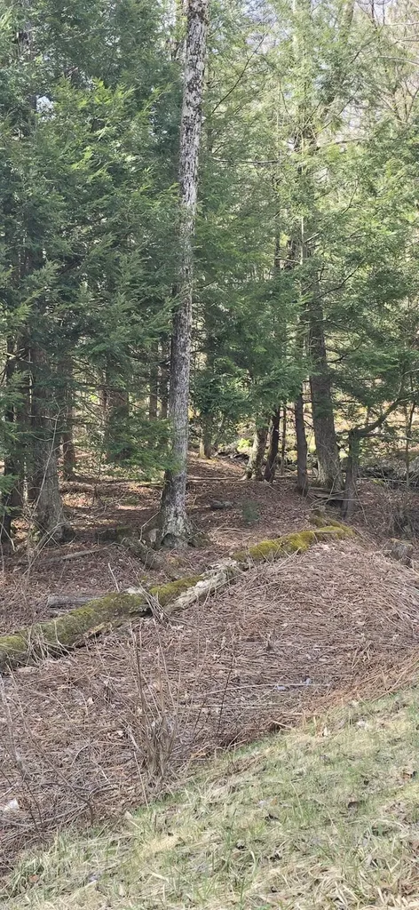 0 Jacobs Ladder Road Becket MA 01223