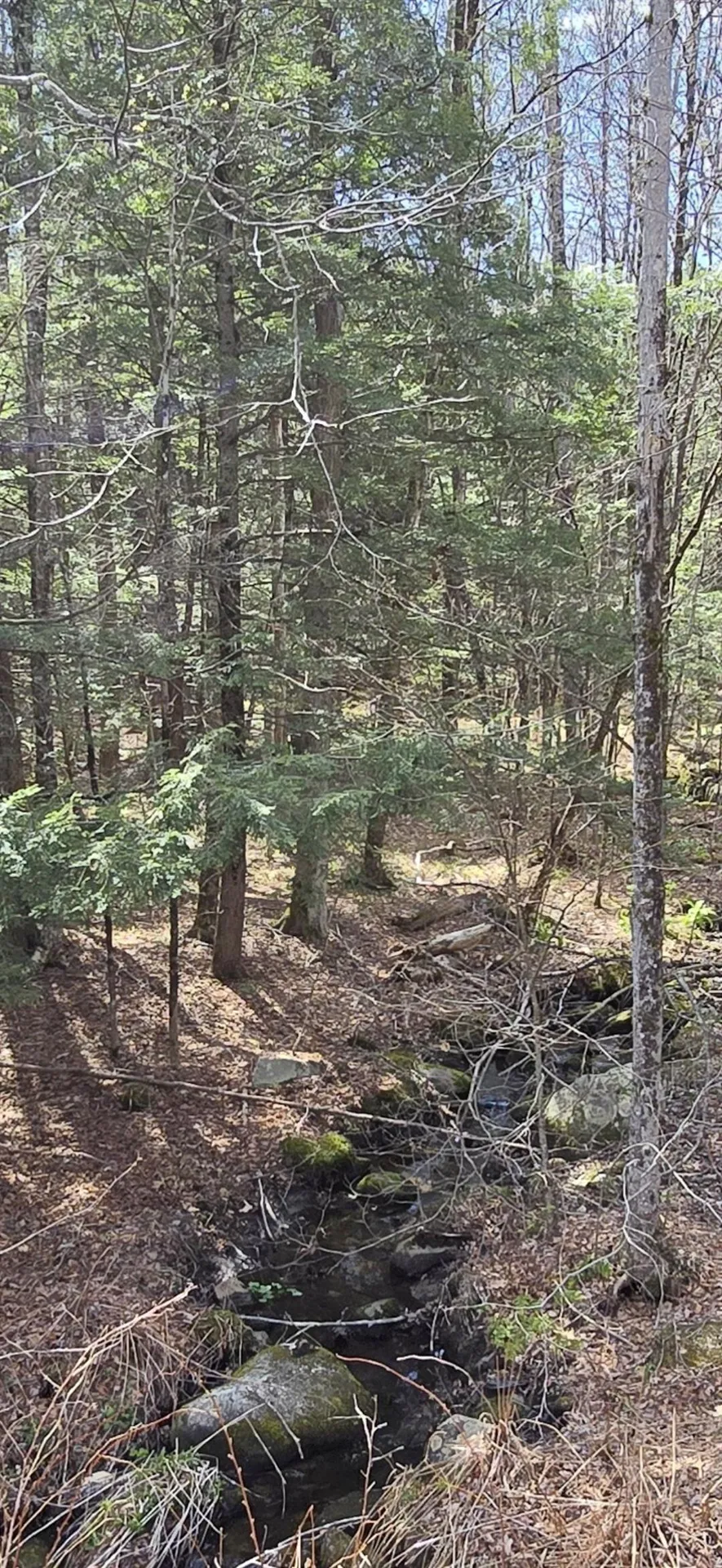 0 Jacobs Ladder Road Becket MA 01223
