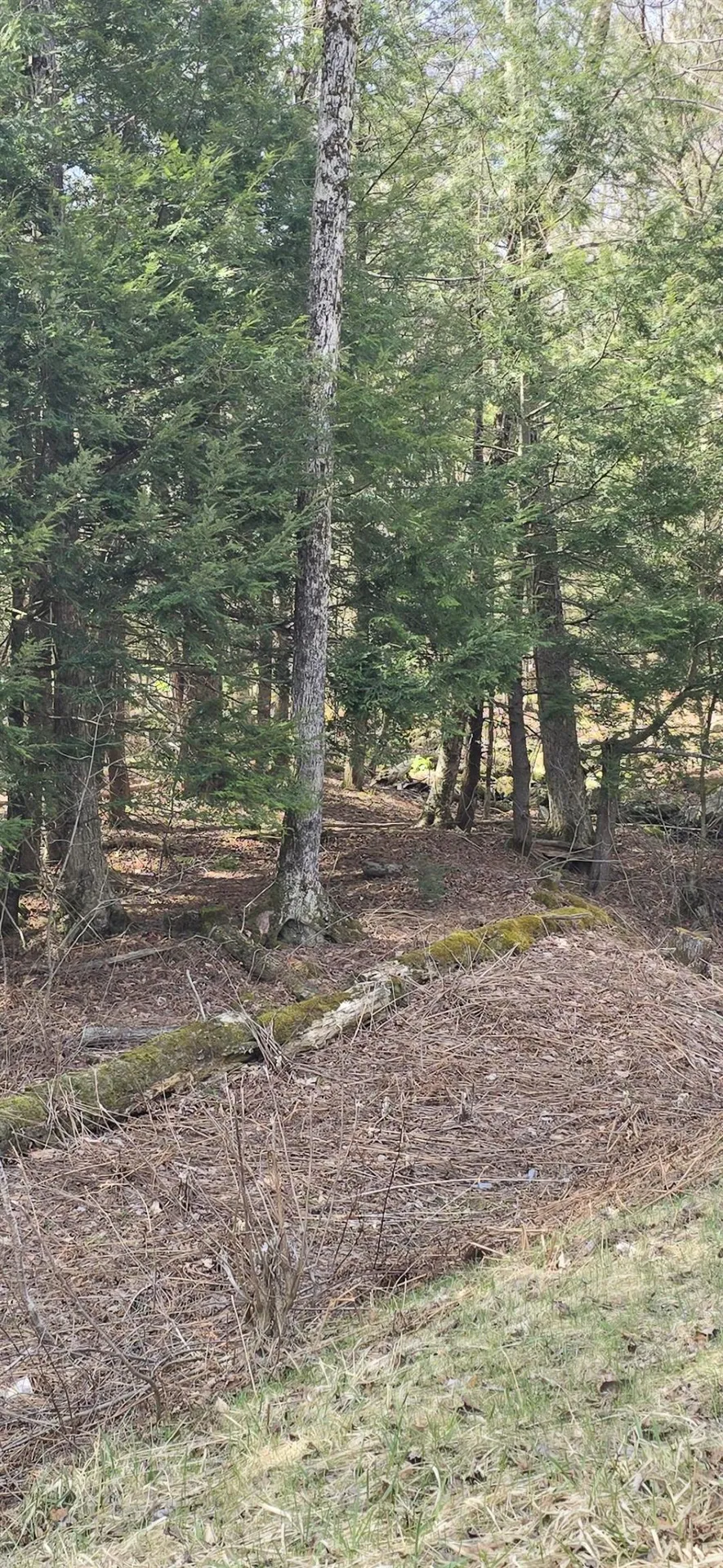 0 Jacobs Ladder Road Becket MA 01223