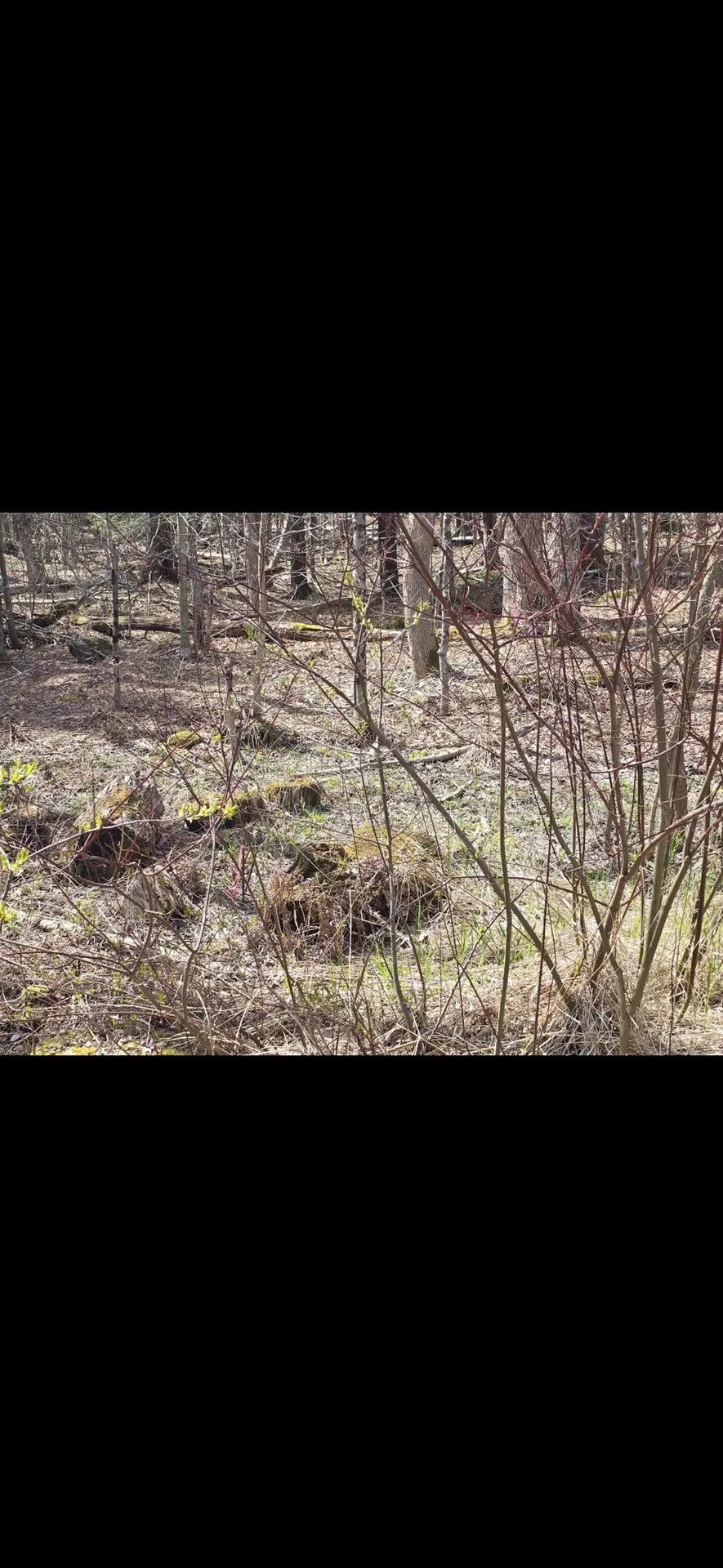 0 Jacobs Ladder Road Becket MA 01223