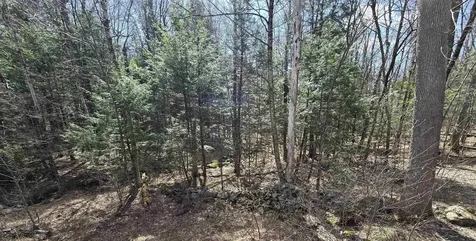 0 Jacobs Ladder Road Becket MA 01223