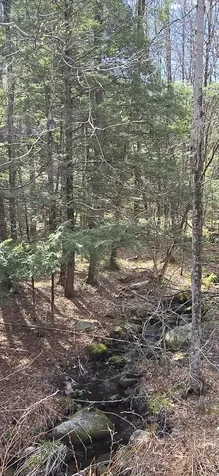 0 Jacobs Ladder Road Becket MA 01223