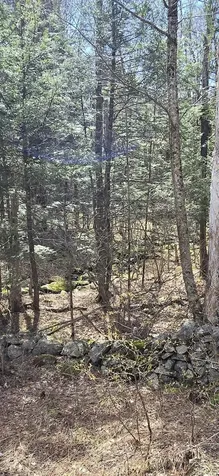 0 Jacobs Ladder Road Becket MA 01223