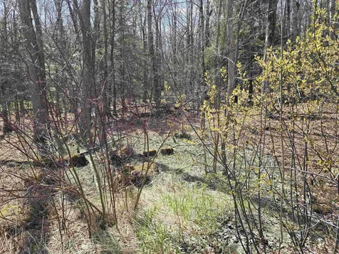 0 Jacobs Ladder Road Becket MA 01223