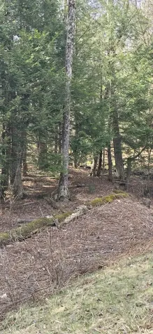 0 Jacobs Ladder Road Becket MA 01223