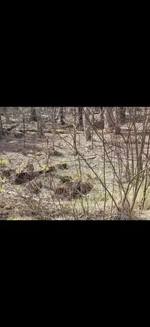 0 Jacobs Ladder Road Becket MA 01223