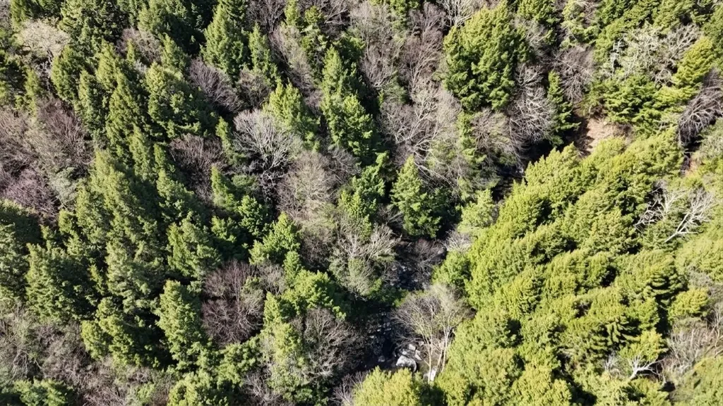 0 Hill West Road Montgomery VT 05470