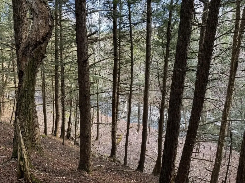 0 Hill West Road Montgomery VT 05470