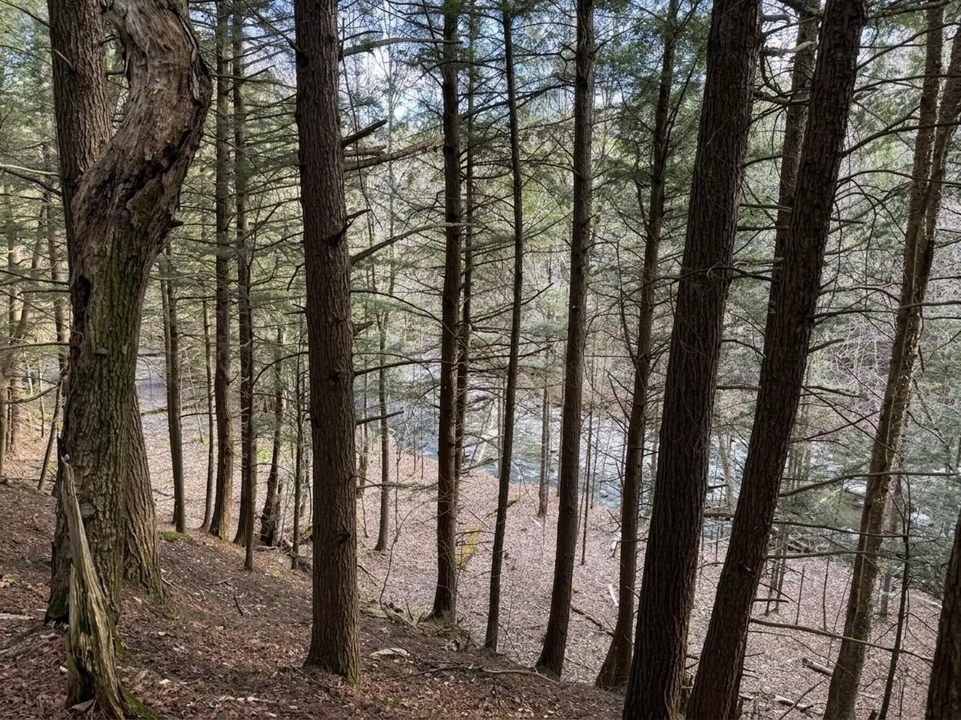 0 Hill West Road Montgomery VT 05470