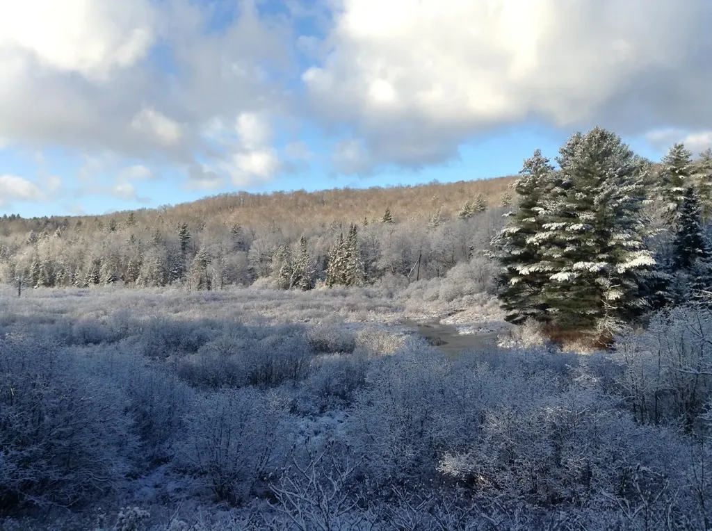 37 Premo Road Roxbury VT 05669