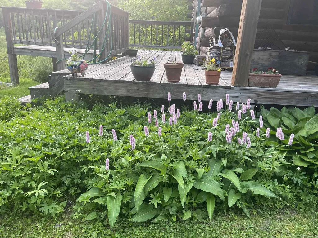 37 Premo Road Roxbury VT 05669