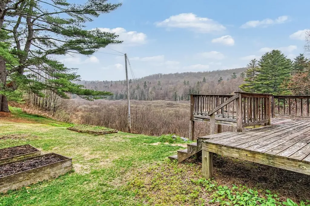 37 Premo Road Roxbury VT 05669