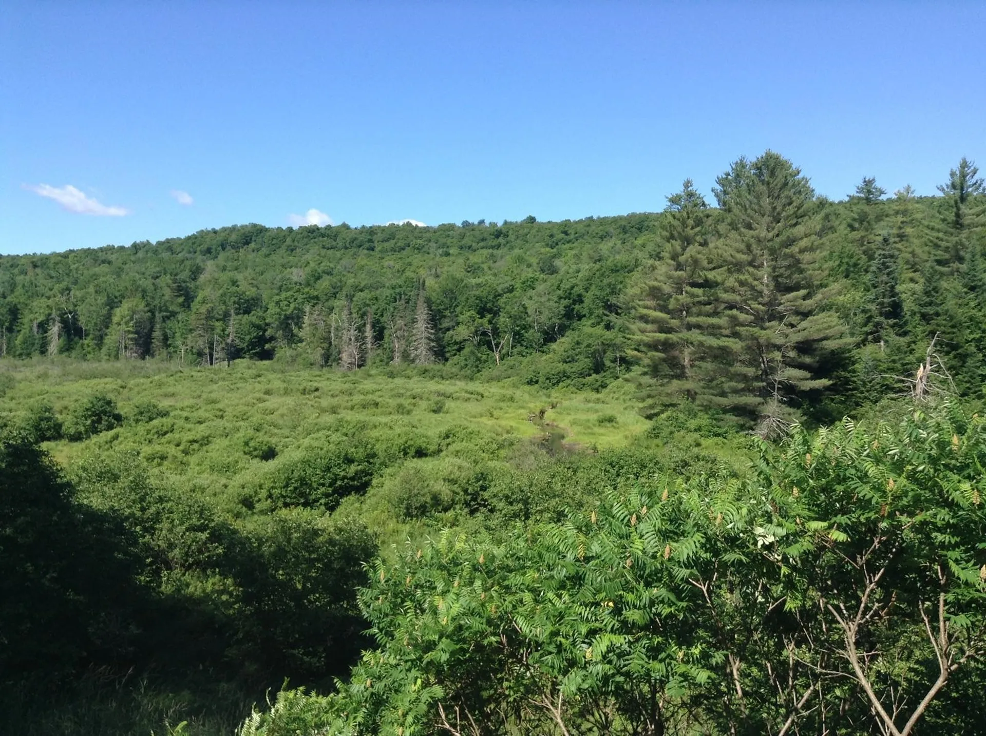 37 Premo Road Roxbury VT 05669