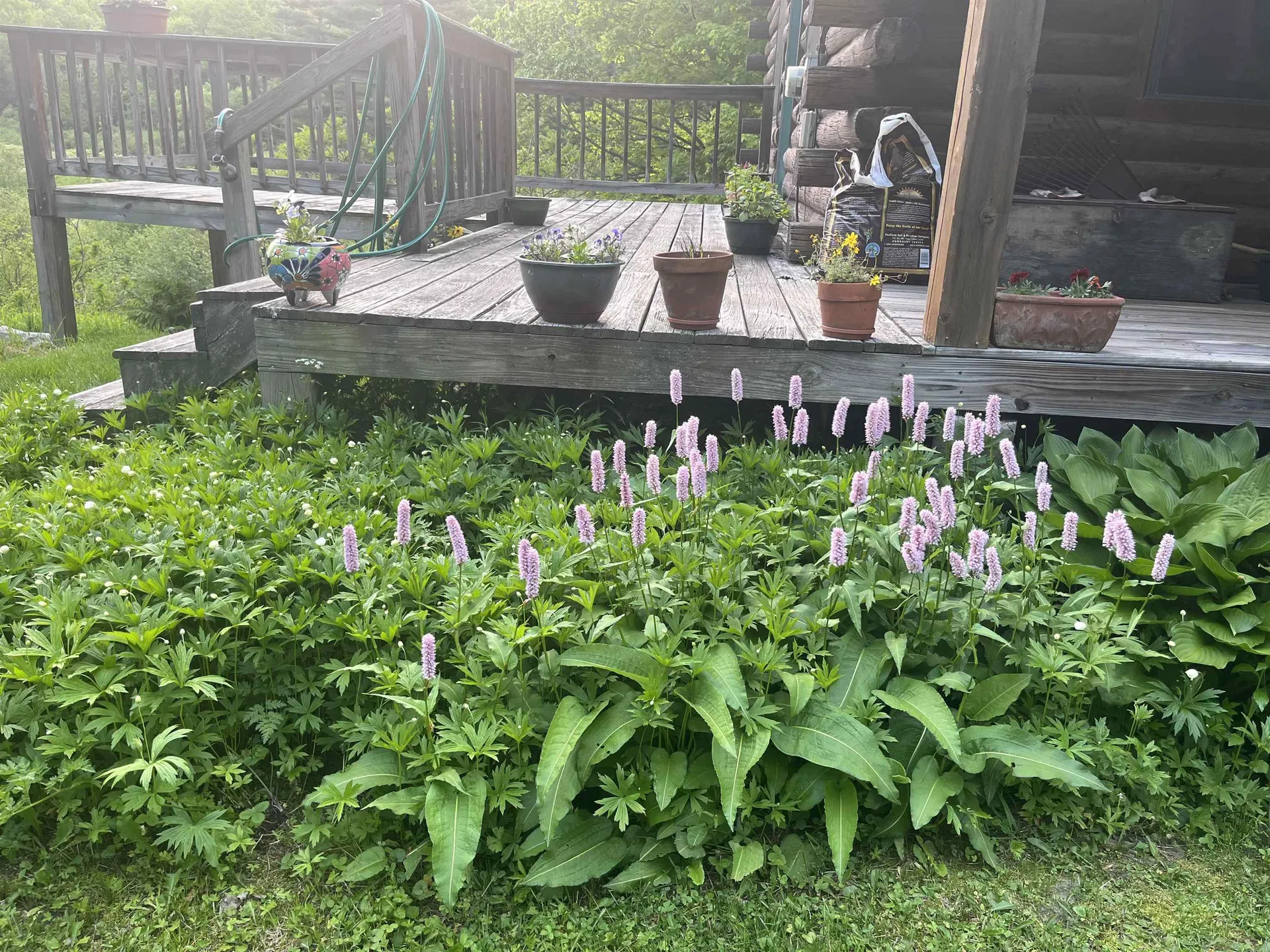 37 Premo Road Roxbury VT 05669