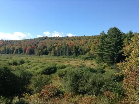 37 Premo Road Roxbury VT 05669