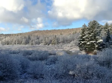 37 Premo Road Roxbury VT 05669