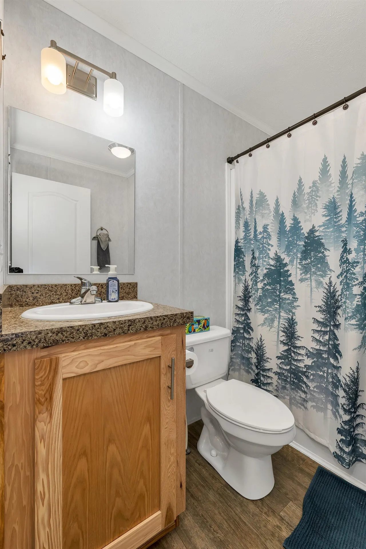 9 Longmeadow Drive Concord NH 03301-3482