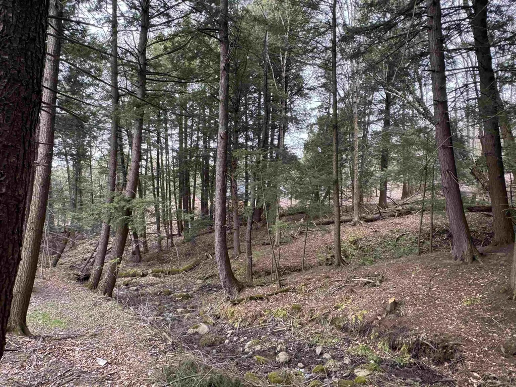 69 Missionary Acres Drive Derby VT 05829