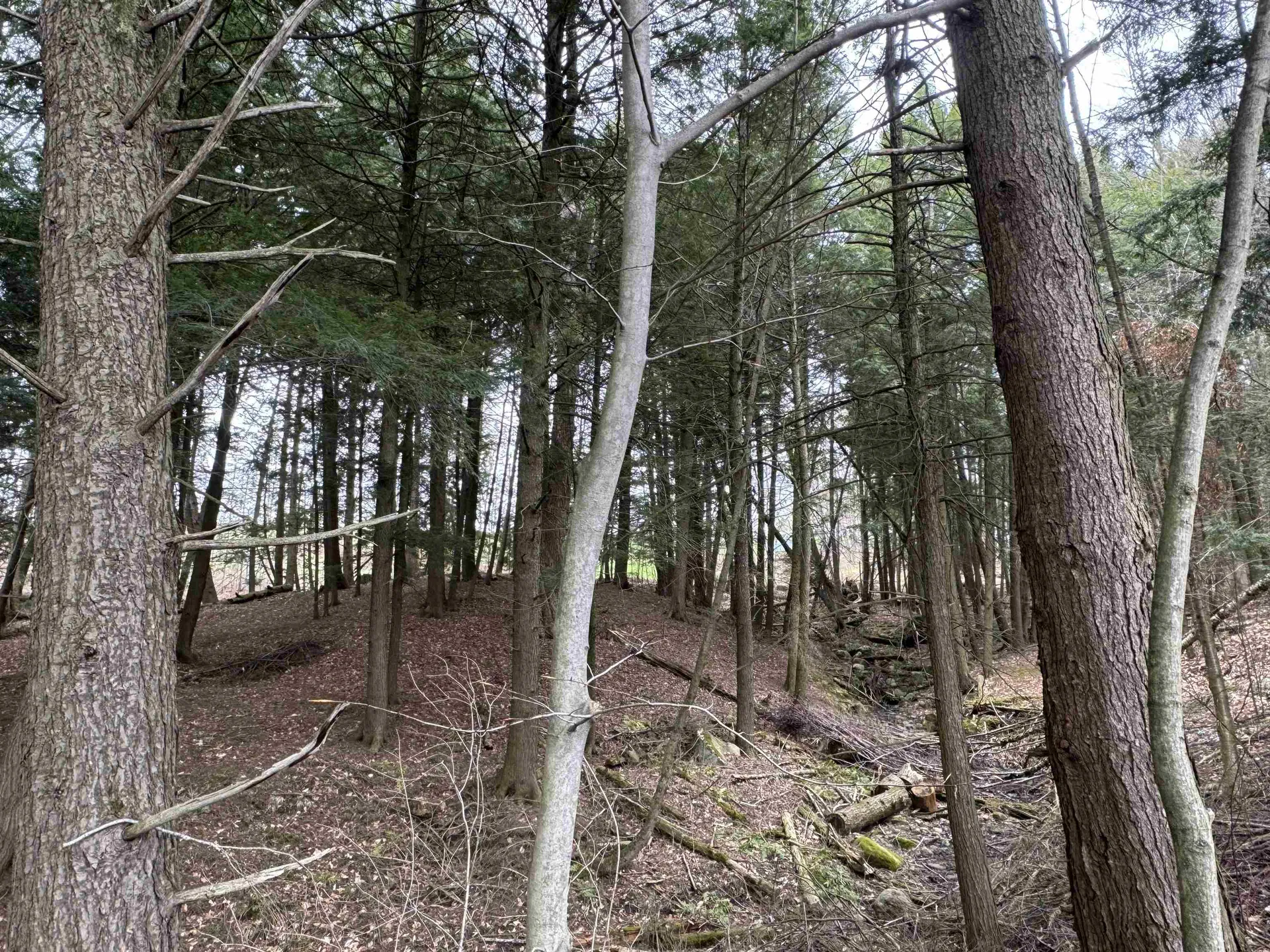 69 Missionary Acres Drive Derby VT 05829
