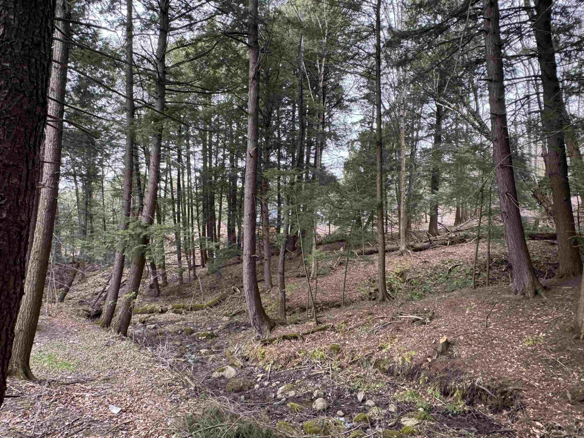 69 Missionary Acres Drive Derby VT 05829
